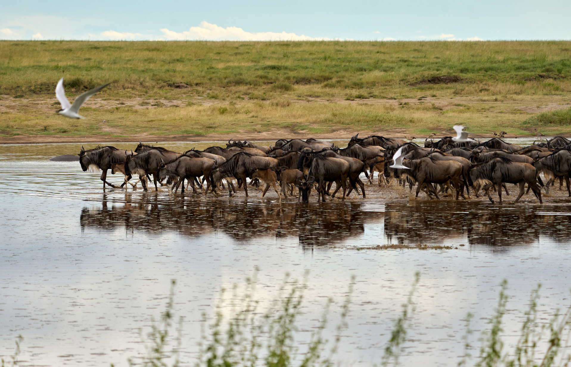 Serengeti National Park