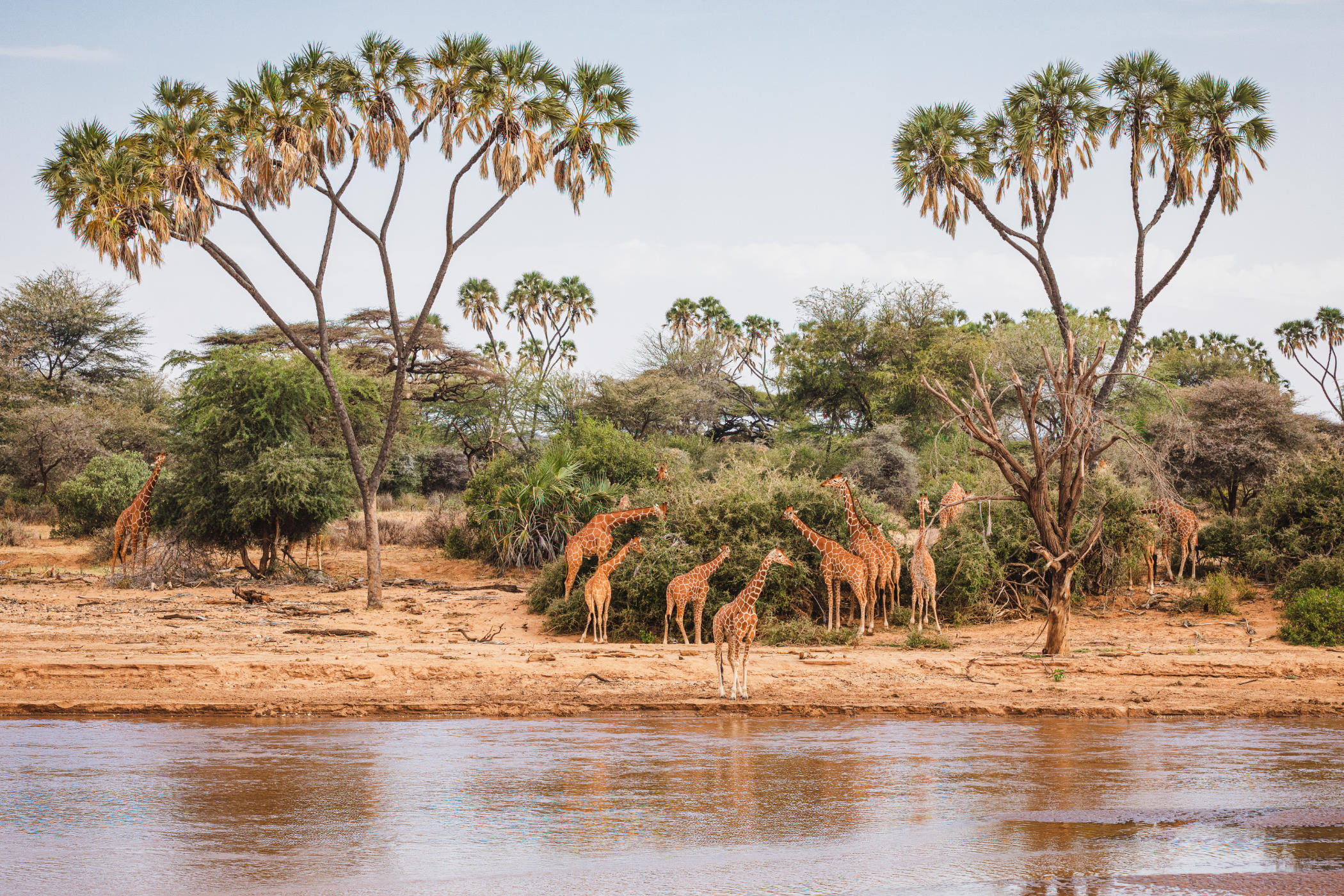 Nyerere National Park (Selous Game Reserve)