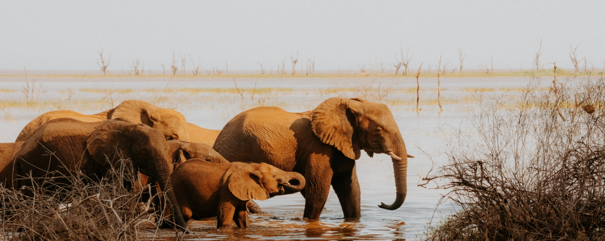 Tarangire National Park
