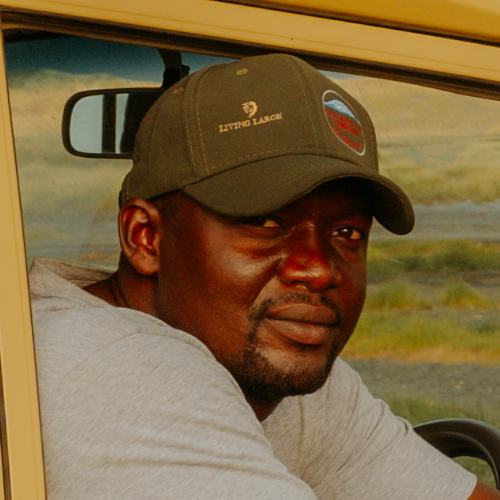Living Large  Safaris