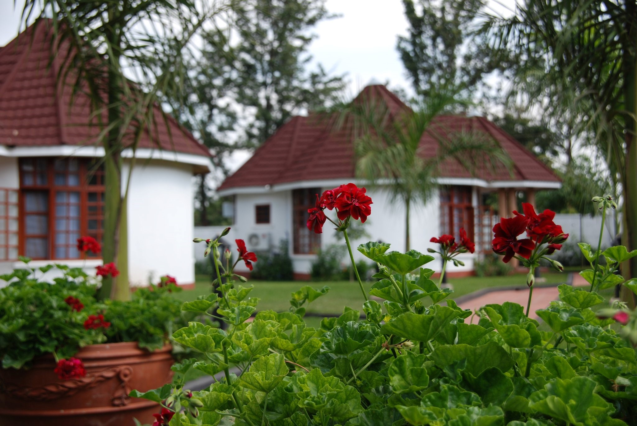 Salinero Hotel